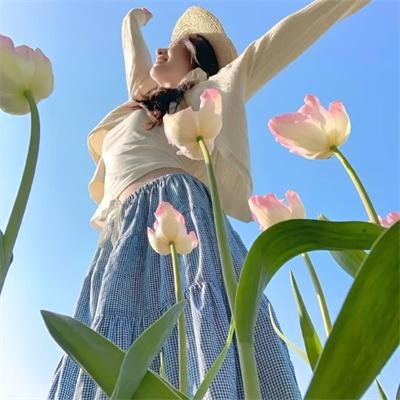 女神捕之迷局